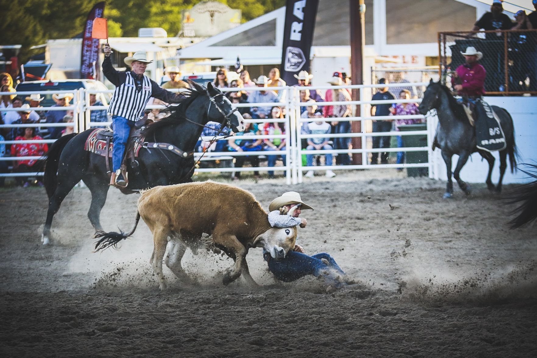 Buffalo Bill Rodeo Night 1 (12).jpg